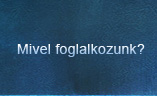 Mivel foglalkozunk?